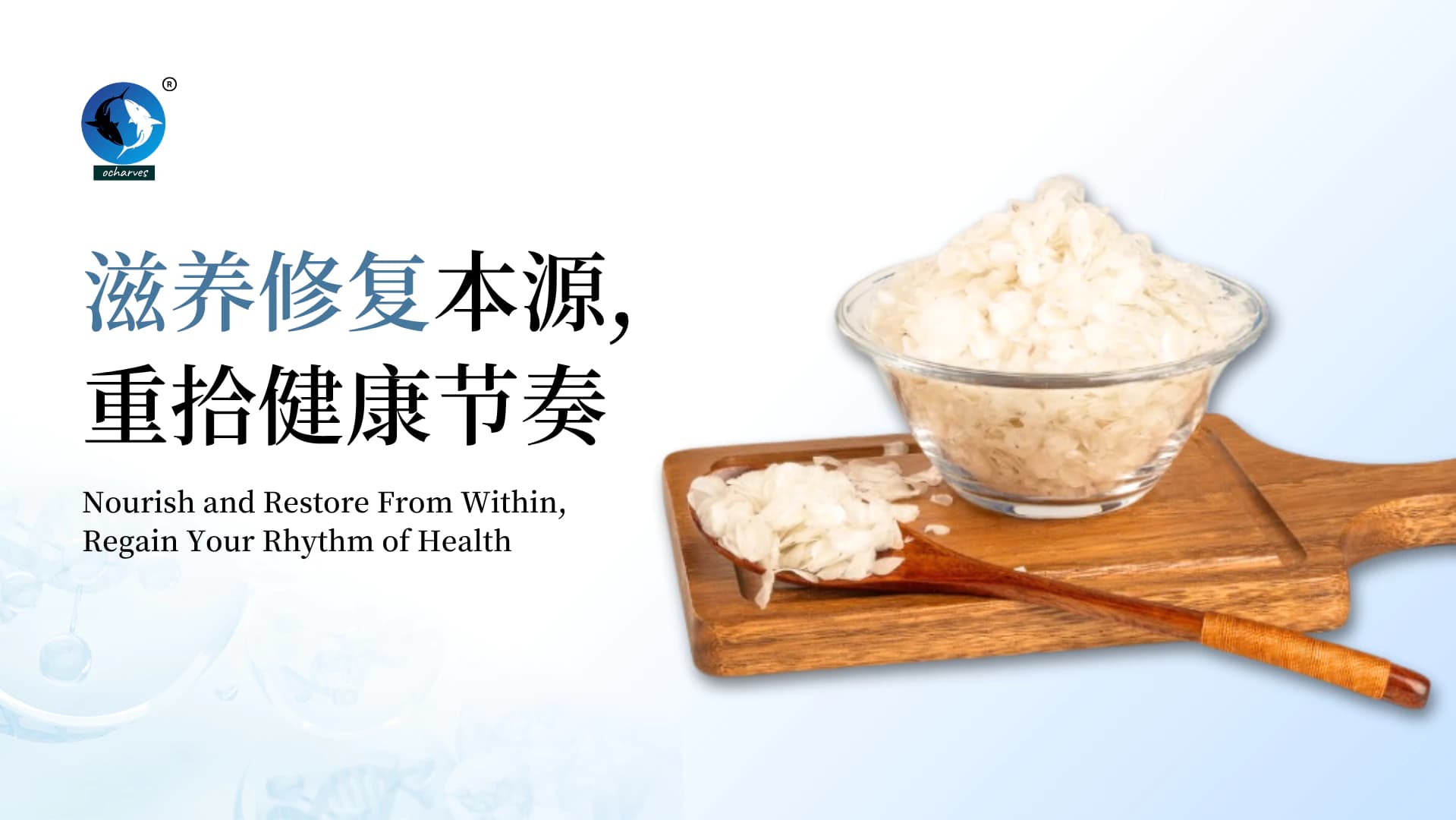 ocharves collagen to nourish and restore from within