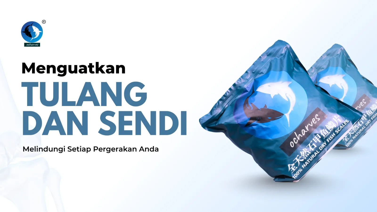 Kolagen ocharves untuk tulang dan sendi yang kuat