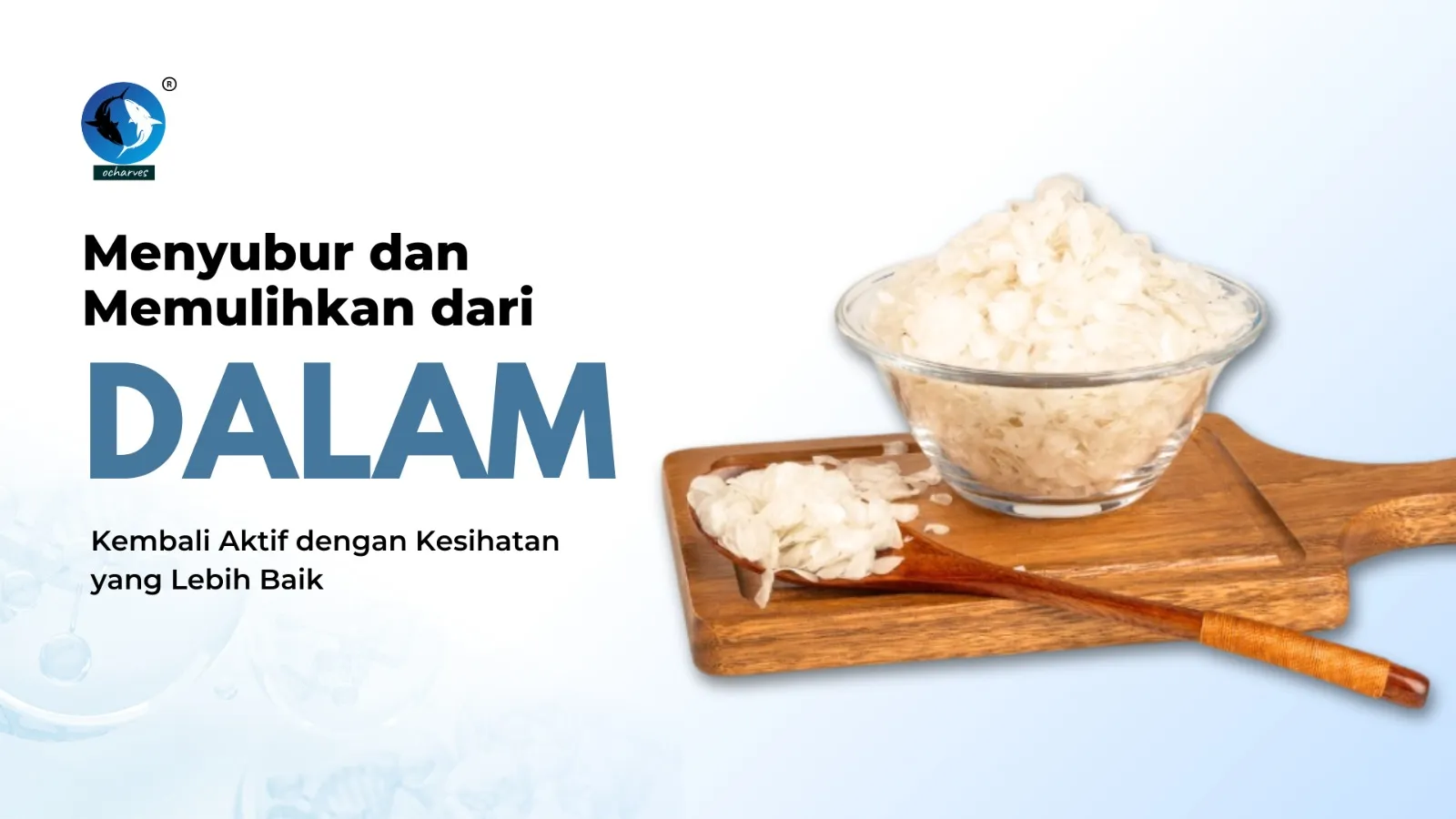 Kolagen ocharves menyubur dan memulihkan dari dalam
