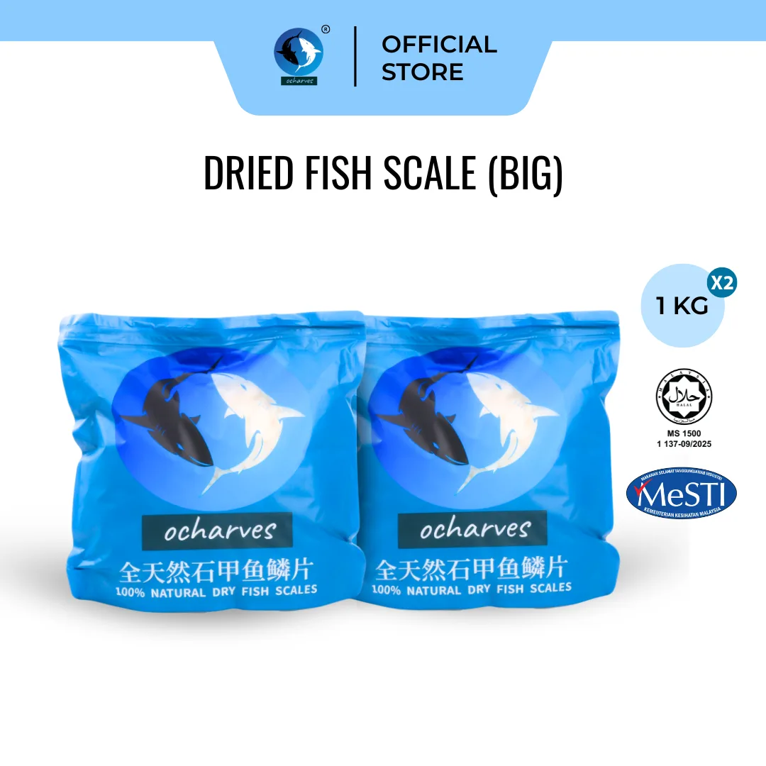 深海石甲鱼鳞片大 (1kg x 2)