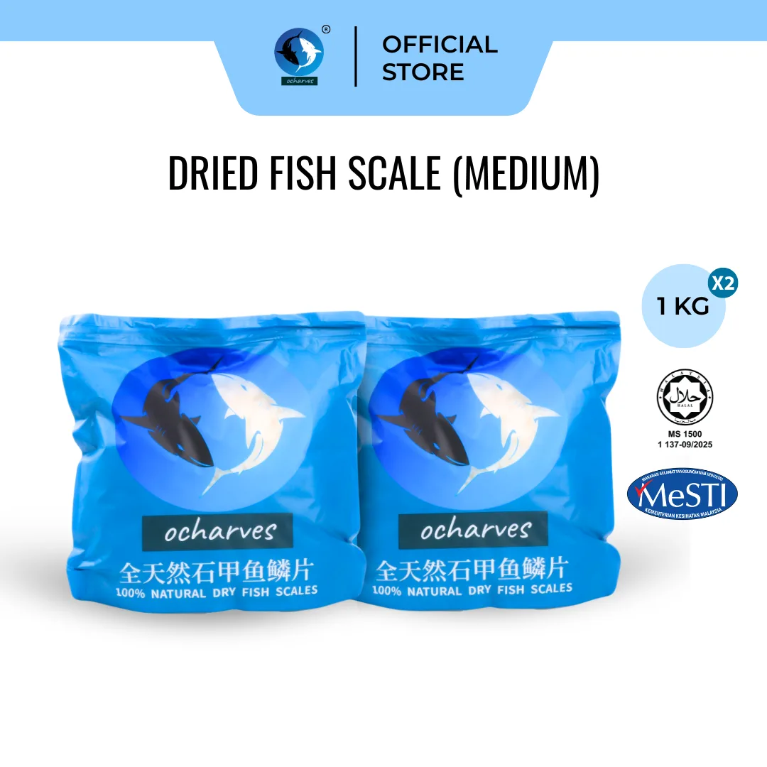 深海石甲鱼鳞片中 (1kg x 2)