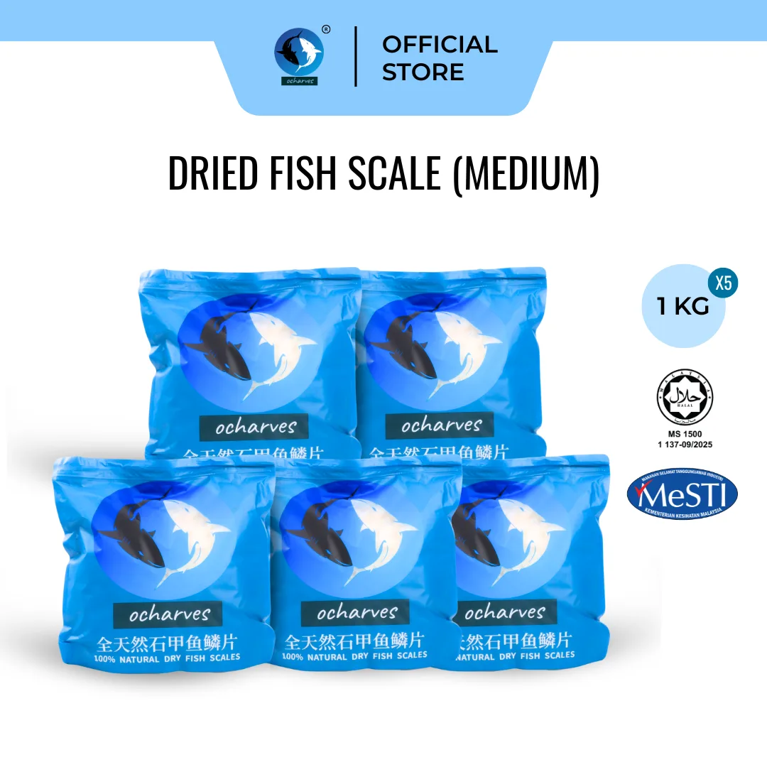 深海石甲鱼鳞片中 (1kg x 5)